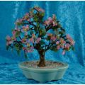 PINK ORIENTAL JADE BONSAI TREE - from SUEZYT
