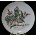 WISENTHAL GERMANY SAGE PLATE - from SUEZYT
