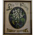 NICELY FRAMED BOTANICAL PRINT  - LILY OF THE VALLEY - from SUEZYT
