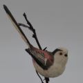 COALPORT LONG TAILED TIT BIRD FIGURINE - from SUEZYT