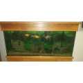 Large fish tank with wooden cabinet stand - Complete and in working order