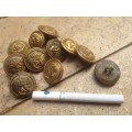 royal navy brass buttons , various manufacturers
