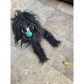 Large Shaggy Fuzzy Monster Walking Puppet black