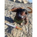 Disney Moana Maui figure with magic fish hook  Jakks toys PVC