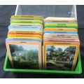 1978 Gardening Card Set in a box by Tree Communications Inc