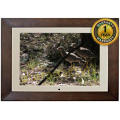 PHOTO FRAME 15" FOTOMATE Digital multifunctional remote controlled (TFT LCD)