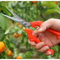 Garden Pruning Scissors