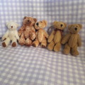 Teddy Bears Small 5