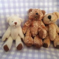Teddy Bears Small 5