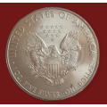 2010 American Eagle 1oz Silver coin 999 fine silver