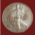 2010 American Eagle 1oz Silver coin 999 fine silver