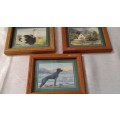SET OF 5 WALL DECOR PICTURES 11 X 9 CM