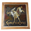 Framed Zodiac Capricorn Tile