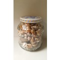 Jar with Lots of Shells