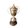 EPNS Trophy Cup  15 cm