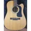 12-String Washburn Acoustic/Electric guitar
