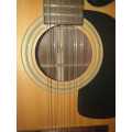 12-String Washburn Acoustic/Electric guitar