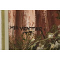 Mia Venter - Lavender Girl - Oil on Board