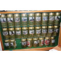 1995 Rugby World Cup Lion Lager Beer Can Collection