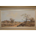 Francois Badenhorst Bushveld Landscape 79 x 48 cm
