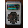 Beautiful 1950 Silver South Africa 5 Shillings / Crown - NGC PF65