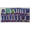 EVERTON  - ENGLISH PREMIER LEAGUE 2020/2021 - TEAM SET of 21 `FOIL and BASE` TRADING CARDS