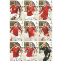 DENMARK - PANINI FIFA WORLD CUP 2018 RUSSIA - COMPLETE TEAM OF 10 `BASE and FOIL` TRADING CARDS