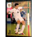 ALI DAEI (Iran) -PANINI `WORLD CUP 2006 GERMANY` COLLECTION - RARE TRADING CARD 119