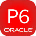 Oracle Primavera P6 (Training)