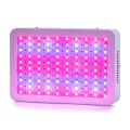 1000W LED Grow Light, Full Spectrum for Greenhouse and Hydroponic Plant