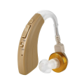 Digital Hearing Aid