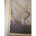 Vintage Chinese Hand Embroidered Silk Portrait Entitled `Morning` Signed. 47 by 39cm