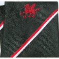 Welsh Embroidered Rugby Tie #3 - Dates from 1981   COLLECTIBLE TIE -  41 YEARS OLD