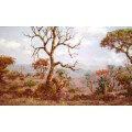 Beautiful Bushveld Landscape #2 with lots of depth - Artist Henry Bredenkamp - See Photos