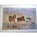 Signed  and Numbered Print by Renowned South African Artist Charl Moller - Natural Urgency #221/1250