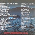 Splashy Fen 2007: The Ultimate Music Experience - Various Artists (2007)