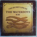 The Waterboys - The Secret Life Of The Waterboys 81-85 [Import] (1994)