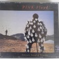 Pink Floyd -  Live Delicate Sound Of Thunder (2CD) [Import] (1991)