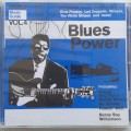 MOJO Presents: Music Guide Vol. 4: Blues Power - Various Artists (CD)