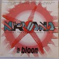 Nirvana - The Live Collection: In Bloom (2CD) (1993)