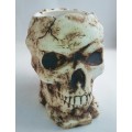 Skull Planter - Ceramics