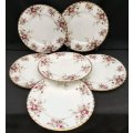 1970 Royal Albert Cottage Garden set of 6 x 20cm Luncheon Plates. Un-used Excellent Condition