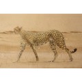 Kim Donaldson - Cheetah pastel