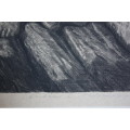 Julius C Turner etching - valued at R3000!
