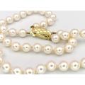 Elegant faux pearl bracelet with 9ct gold clasp