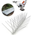 Hot selling 1Meter Bird Pigeon Repeller Stainless Steel Nails Anti-Bird  Spikes Pest Control