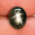 5.93Ct. Star Sapphire Natural Cabochon Golden Black 6 Rays Unheated Good Quality