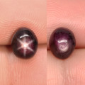 3.33Ct. Star Ruby Natural Oval Cabochon Purplish Red 6 Rays