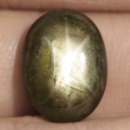 13.13Ct. Star Sapphire Natural Cabochon Golden Black 6 Rays Unheated