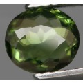 1.37Ct.Green Tourmaline Mozambique Ravishing Color Natural